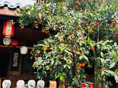 -青城甲(青城山店)