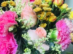 -红菇坊鲜汤火锅(北站店)