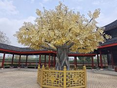 -广东圆玄道观