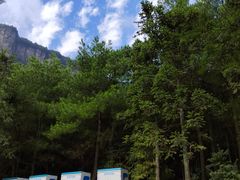 -重庆睡佛山森林公园