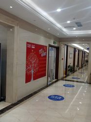 -碧莲盛·不剃发植发