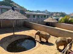 -西霞口神雕山野生动物世界