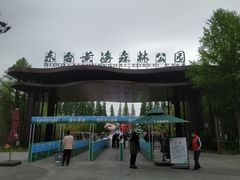 -黄海国家森林公园