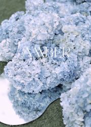 -琥珀婚礼策划AMBER WEDDING