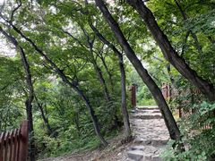 -阳台山自然风景区