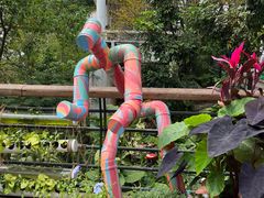 -深圳仙湖植物园