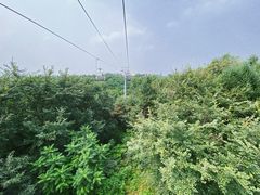 -热高乐园