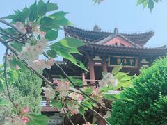 -西安青龙寺遗址景区