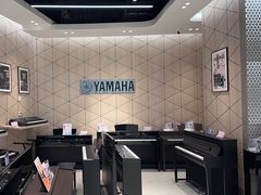 -知音艺术教育培训·钢琴培训·音乐培训(河西金鹰世界校区)