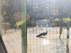-杭州野生动物世界