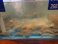 -金海湾海鲜总店