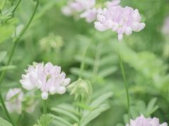-黑龙江省森林植物园