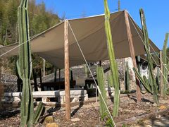 -MOJ coffee(瓯海泽雅水碓坑店)