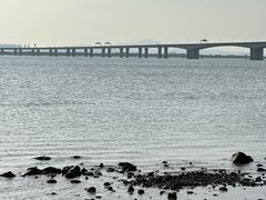 -芒洲湿地公园