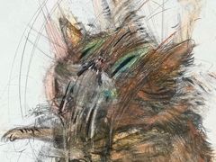 -日本料理神拉面