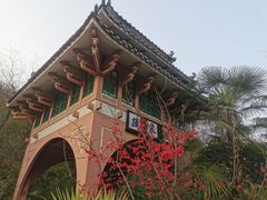-重庆园博园