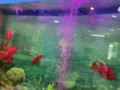 -雅悦齿科(顾村公园店)