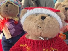 -上海英国外籍人员子女学校(浦西校区)