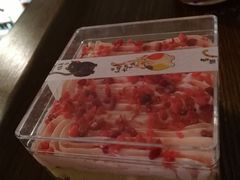 -猫咪博物馆(顶澳仔猫街店)