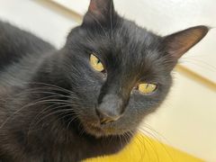 -五进制 Coffee Shop