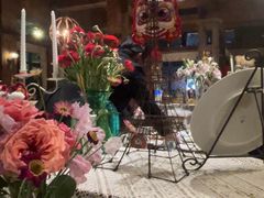 -一棵树·意大利西餐厅One Tree(新城店)