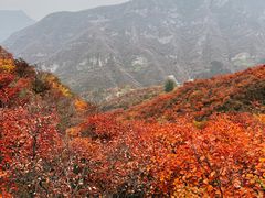 -周口店坡峰岭风景区