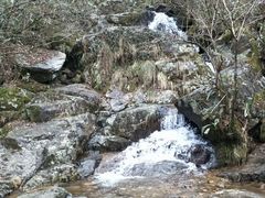 -东天目山风景区