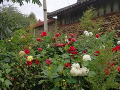 -炊烟餐厅