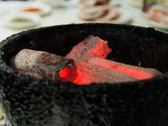 炭火-大槐树烤肉馆