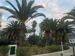 -Restaurant L'Escale da Vittorio