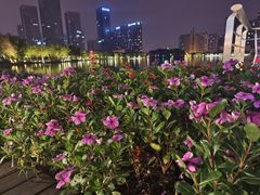 -天鹅湖体育公园
