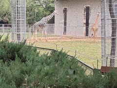 -石家庄市动物园