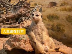 -正佳雨林生态植物园