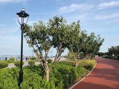 -东港音乐喷泉广场