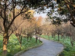 -南汇桃花村