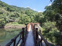 -广州市石门国家森林公园