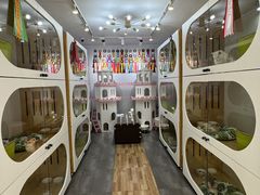 -青奢宠物·青奢猫舍