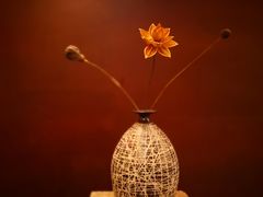 -成都凯宾斯基饭店