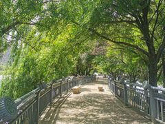 -清溪水库