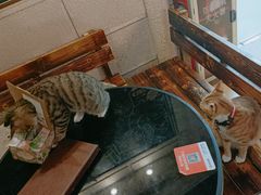 -逃脱反斗城沉浸剧情密室(北京路店)