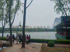 -森林公园(尖草坪区)