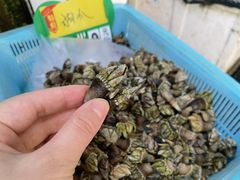 -外伶仃岛海鲜市场