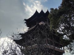 -杭州半山国家森林公园