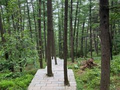 -鲁山国家森林公园