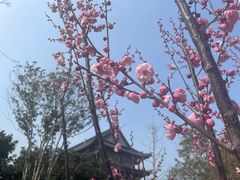 -葛仙湖公园