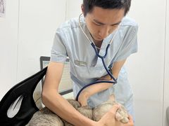 -立德24H动物医院·夜诊·转诊中心·1.5T核磁共振(海珠店)