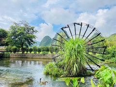 -靖西鹅泉风景区