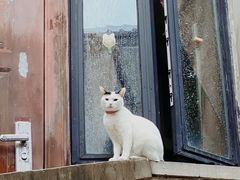 -大可堂普洱茶馆(襄阳南路馆)