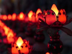 -龙口南山旅游景区