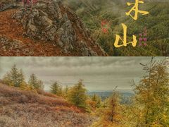 -苏木山森林公园